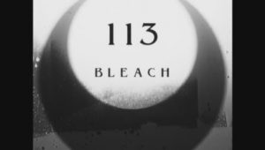 Bleach: 1×113