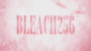 Bleach: 1×256