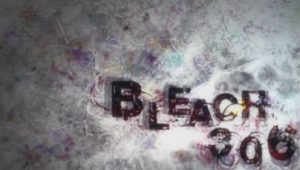 Bleach: 1×306