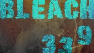 Bleach: 1×339