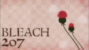 Bleach: 1×207