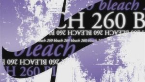 Bleach: 1×260
