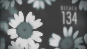 Bleach: 1×134