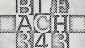 Bleach: 1×343