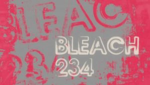 Bleach: 1×234