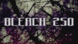 Bleach: 1×250