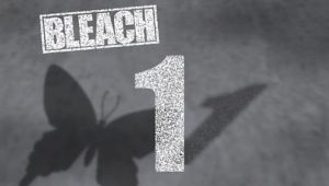 Bleach: 1×1