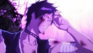 Bleach: 2×5
