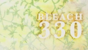 Bleach: 1×330