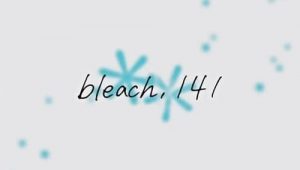 Bleach: 1×141