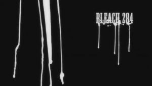 Bleach: 1×284