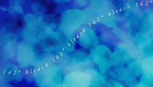 Bleach: 1×142