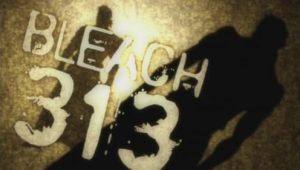 Bleach: 1×313
