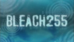 Bleach: 1×255