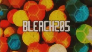 Bleach: 1×205
