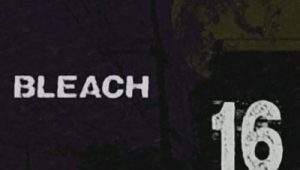Bleach: 1×16